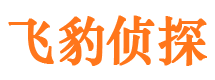 海勃湾市侦探调查公司